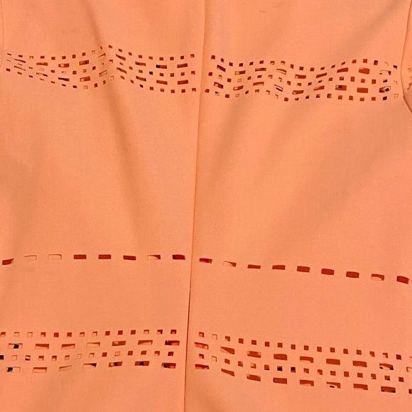 Elizabeth and James Ari dress - Picture 4 of 7